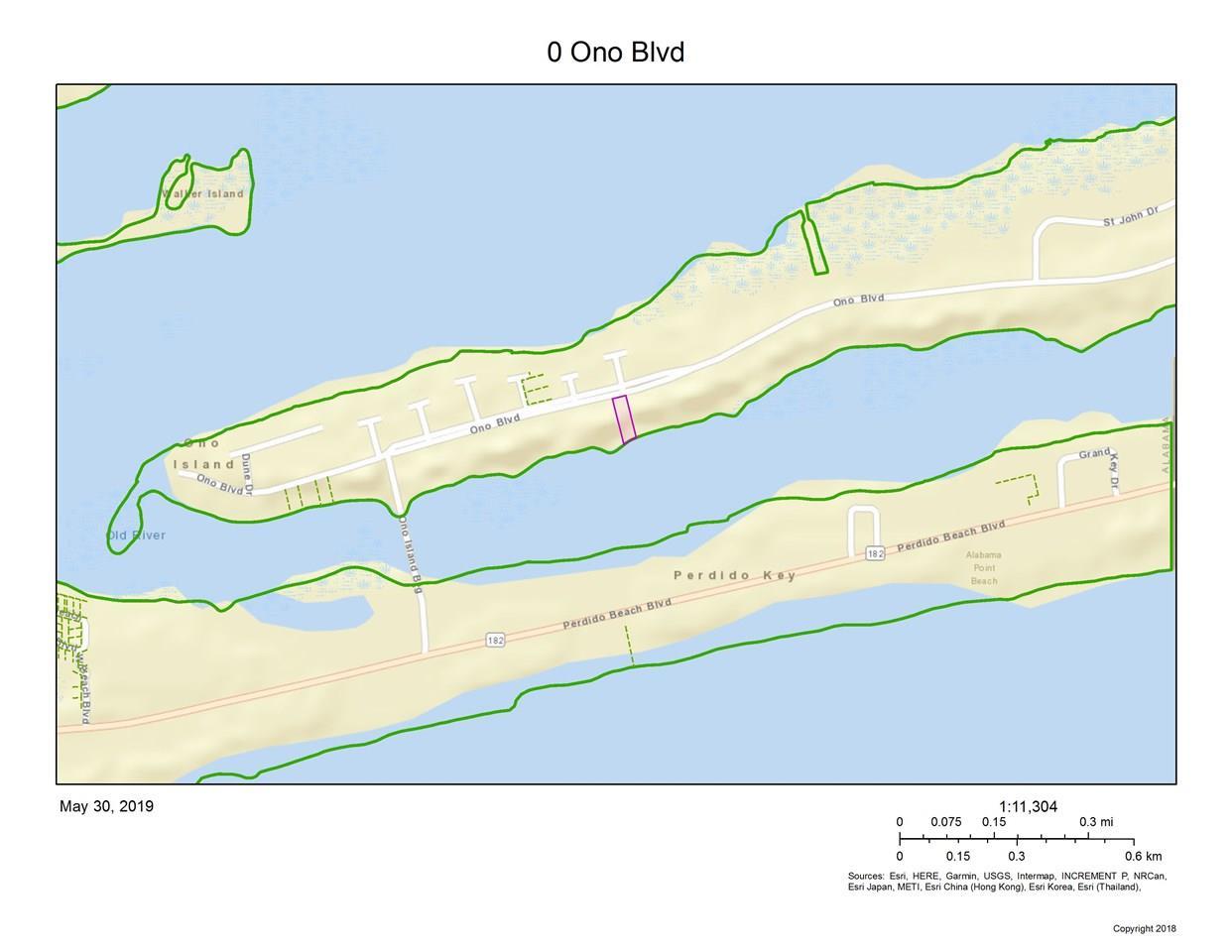0 Ono Blvd - Photo 1