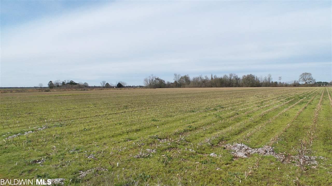 1 Davis Pond Rd - Photo 1