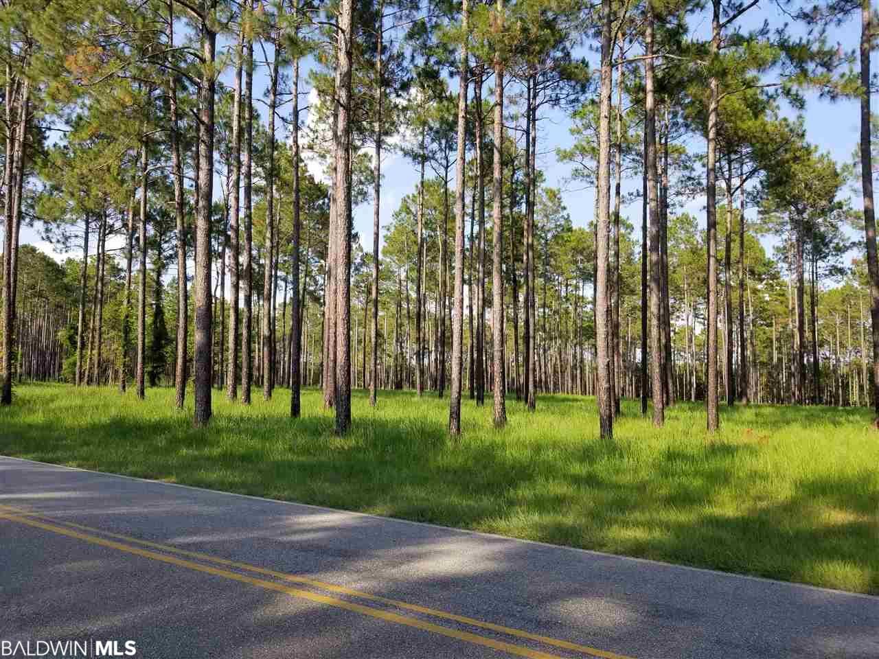 0 County Road 64 - Photo 1