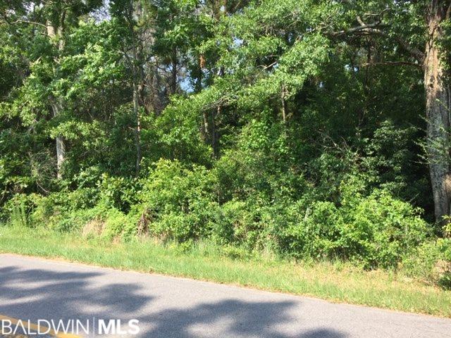 27180 County Road 54 - Photo 1