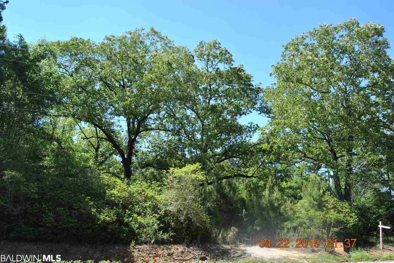 0 Us Highway 31 - Photo 1