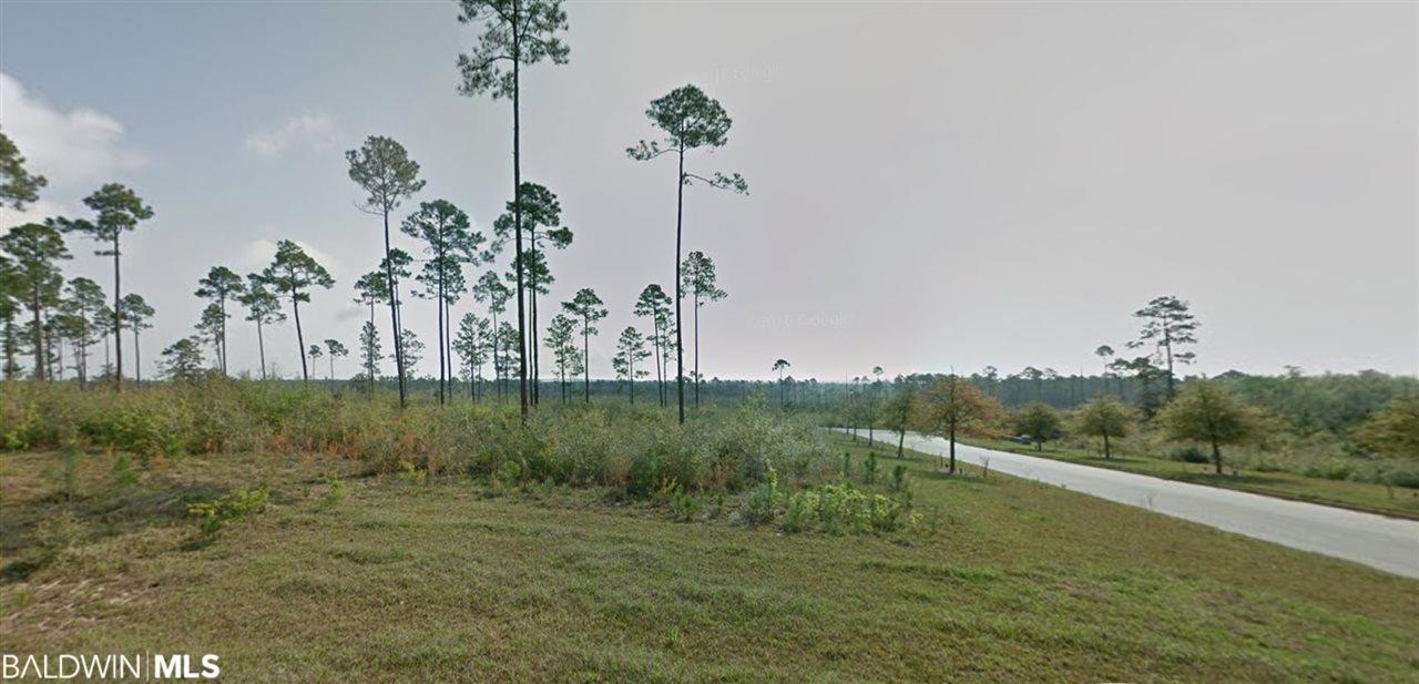 Lot 29 Tall Timber Lane - Photo 1
