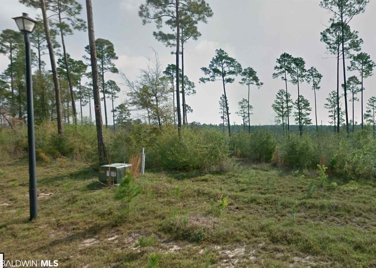 Lot 30 Tall Timber Lane - Photo 1