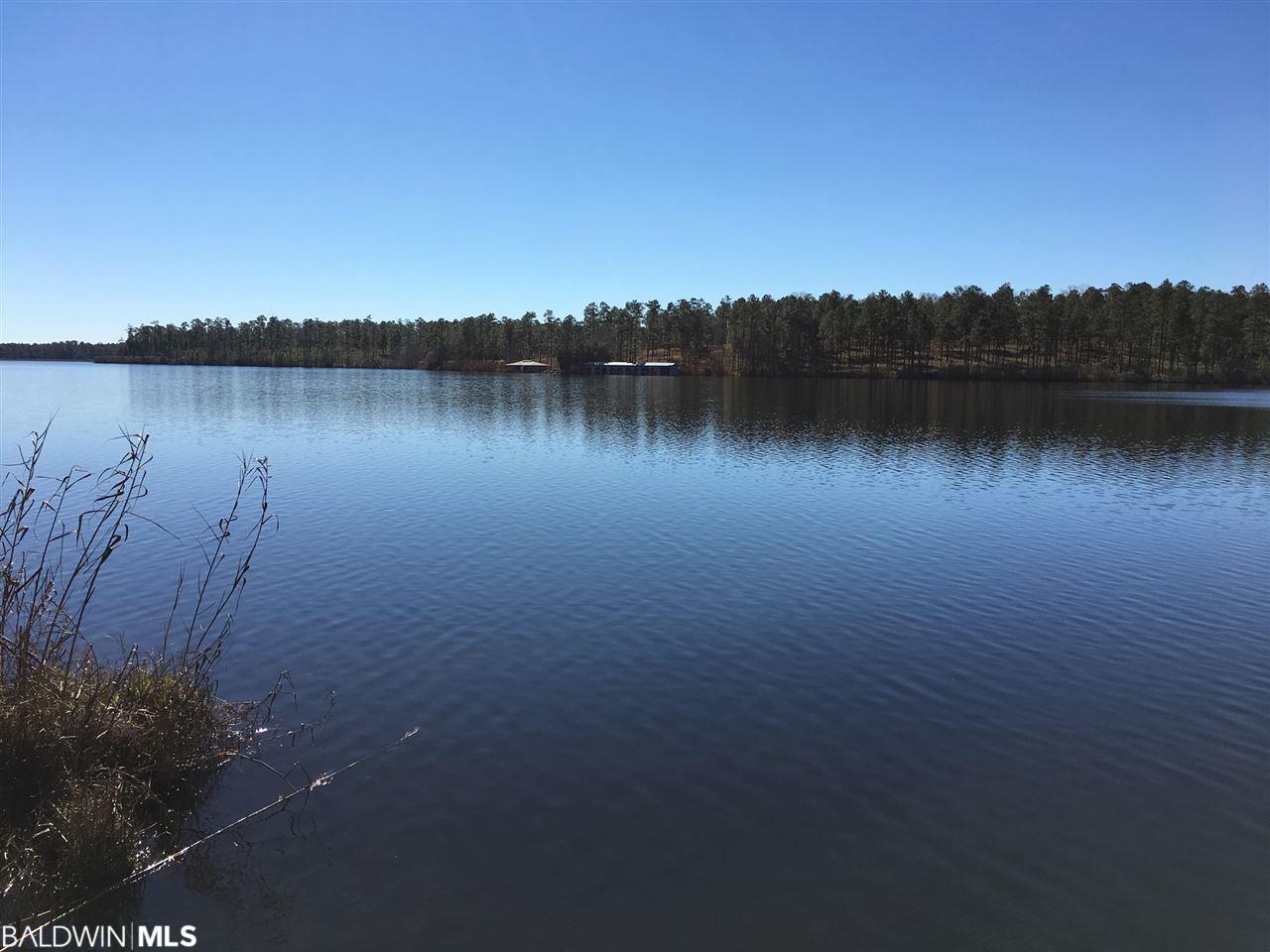 0 Steelwood Ridge Rd - Photo 1