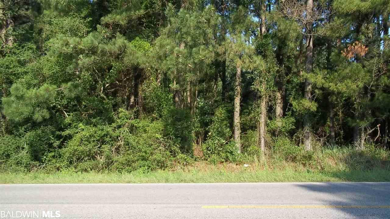 0 County Road 87 - Photo 1
