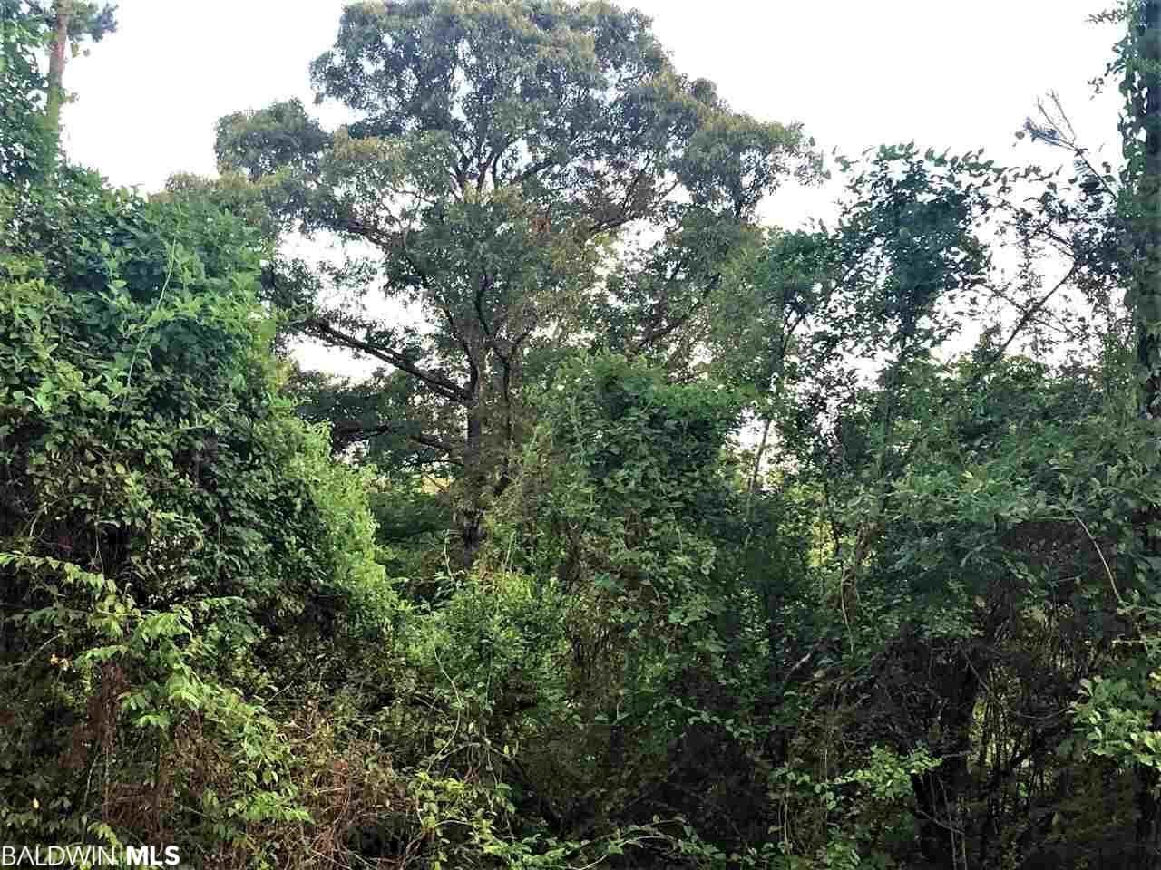 0 Charlie Head Road - Photo 1