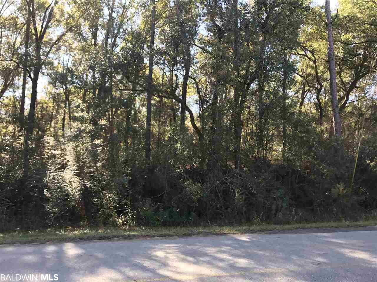22150 Doc Mcduffie Rd - Photo 1