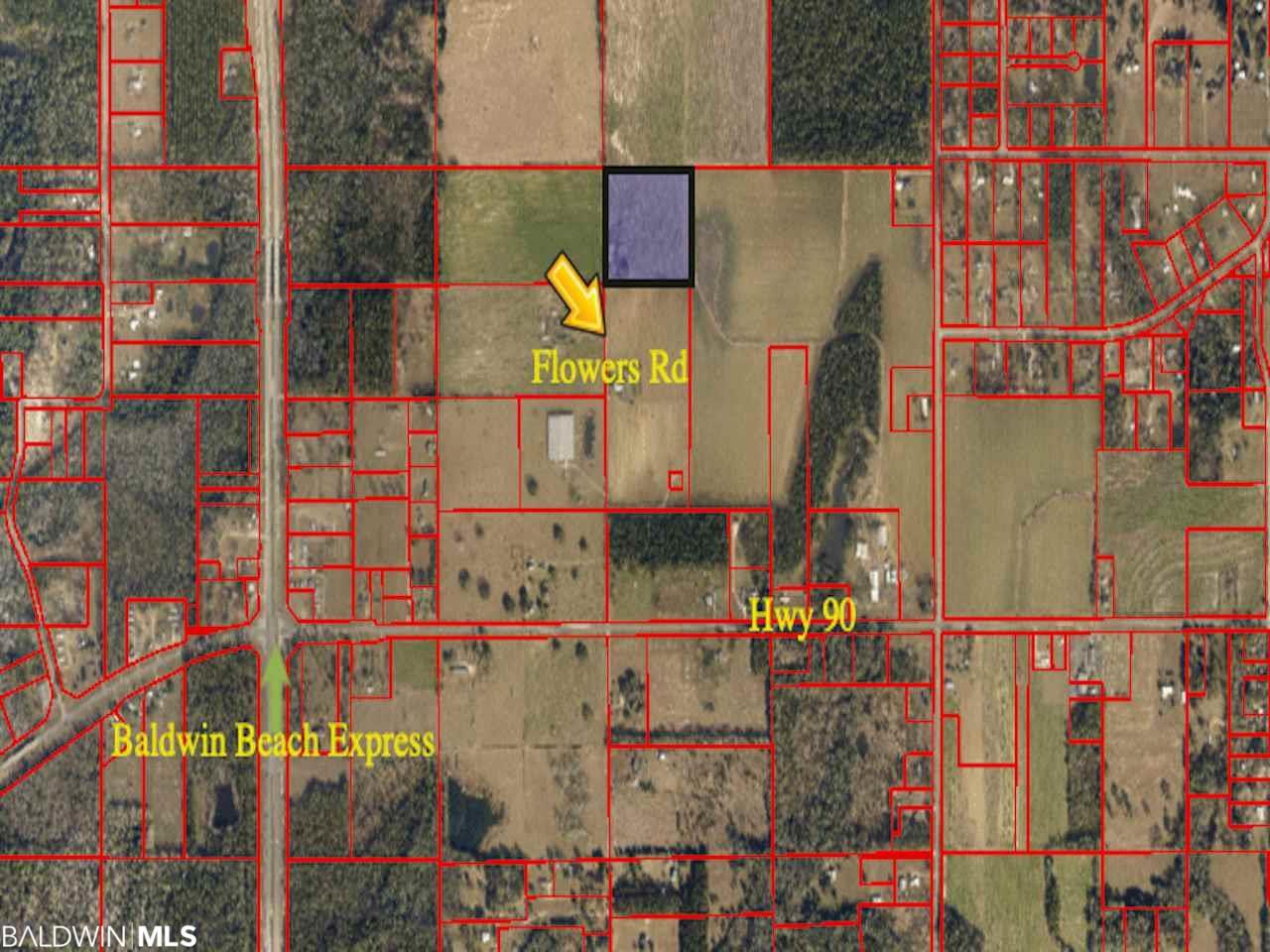 23900 Flowers Road - Photo 1