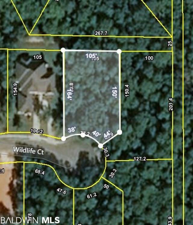16 Wildlife Ct - Photo 1
