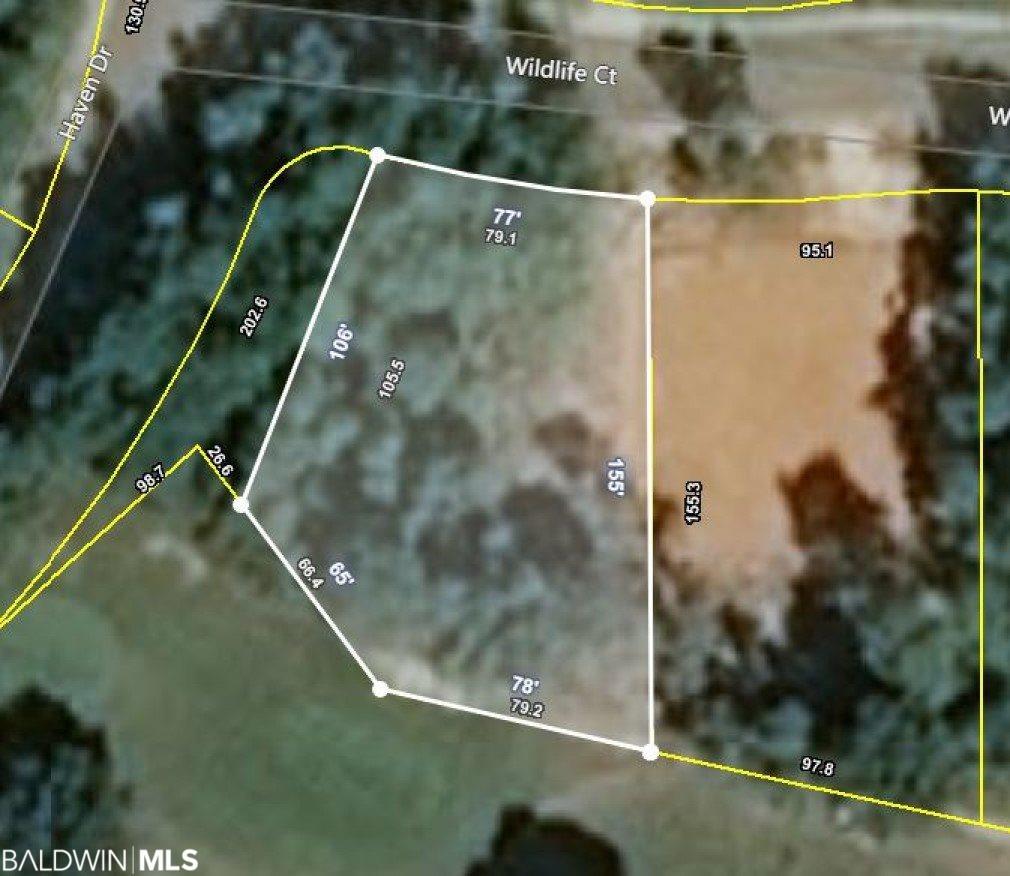11 Wildlife Ct - Photo 1