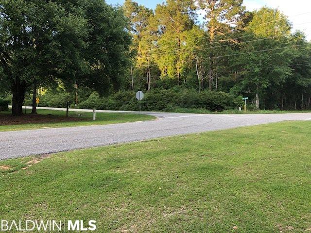 Lot 3 County Road 12 - Photo 1