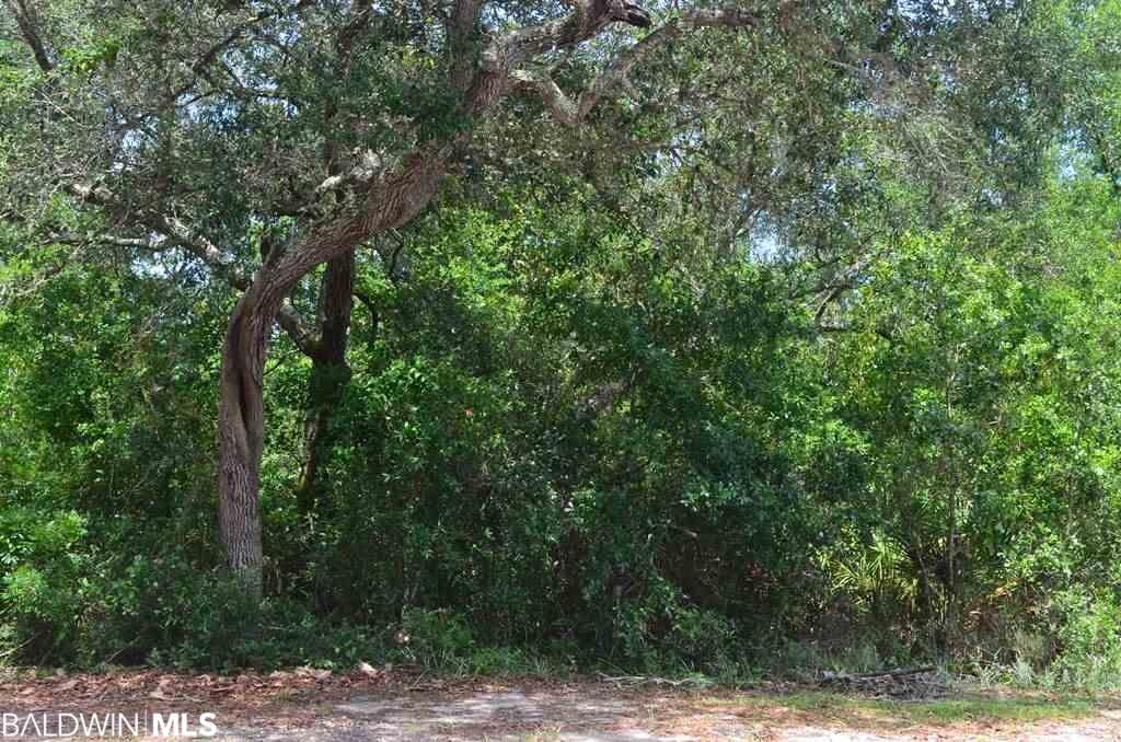 Dowty Ln - Photo 1