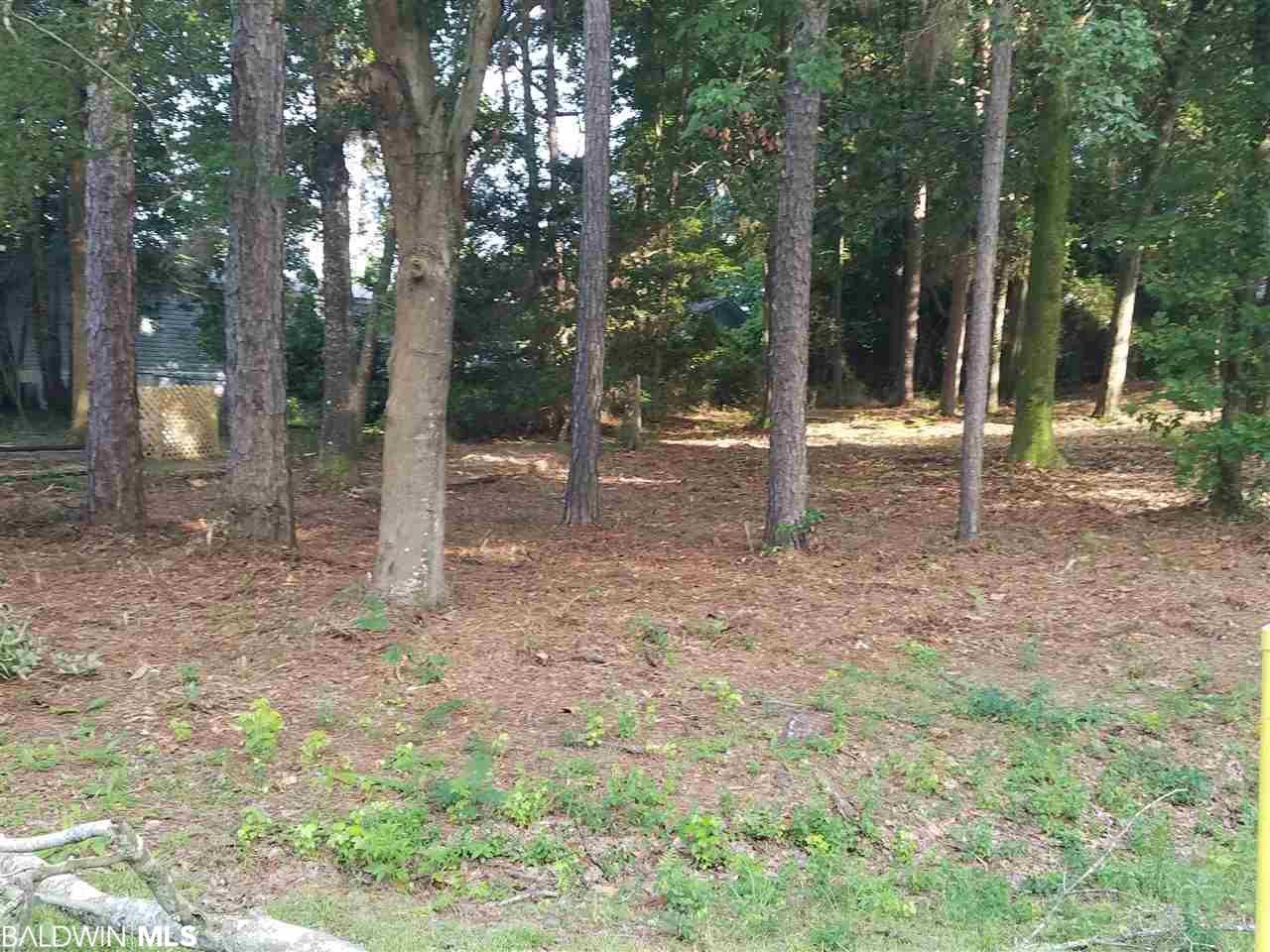 1256 Caney Drive - Photo 1