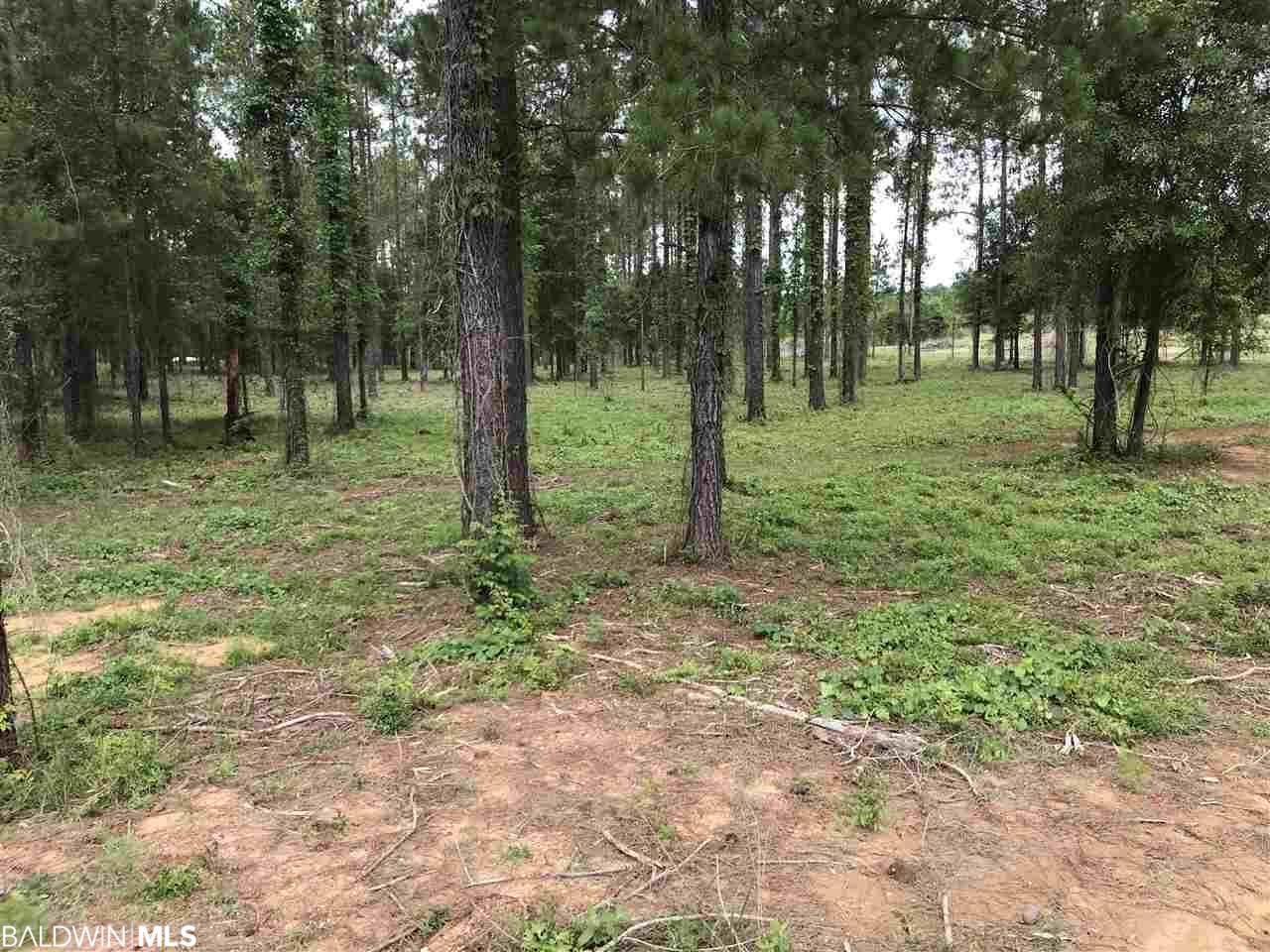 29191-A Burbon Lane - Photo 1