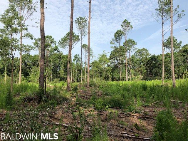 7687 Spanish Fort Blvd - Photo 1