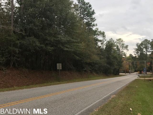 0 County Road 48 - Photo 1