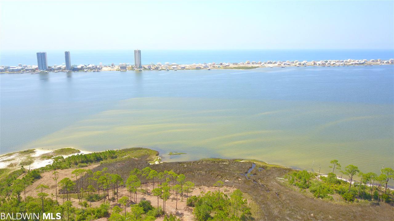 0 Fort Morgan Hwy - Photo 1