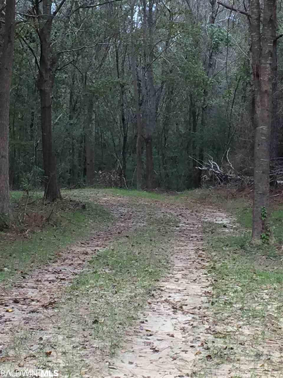 00 Old Brady Road - Photo 1