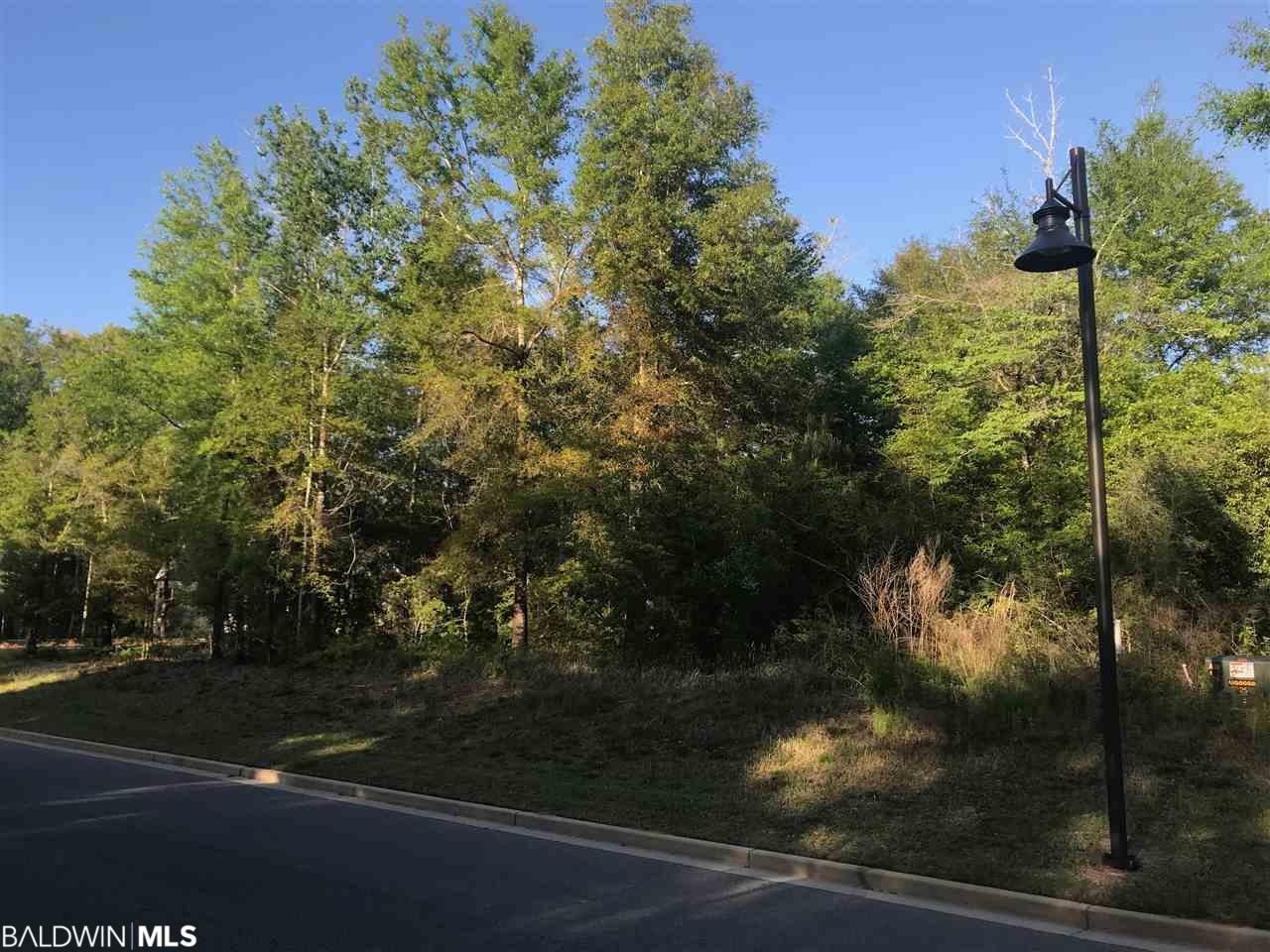0 Flatwood Drive - Photo 1