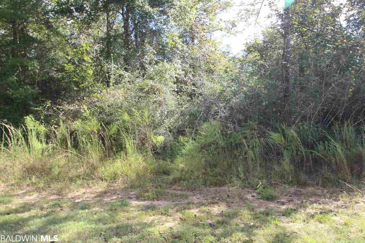 0 Flatwood Drive - Photo 1
