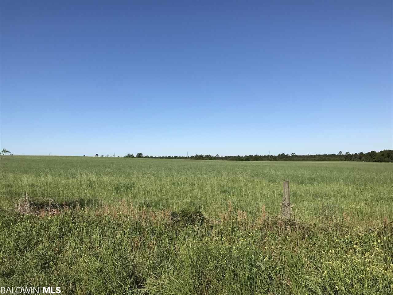 0000 County Road 91 - Photo 1