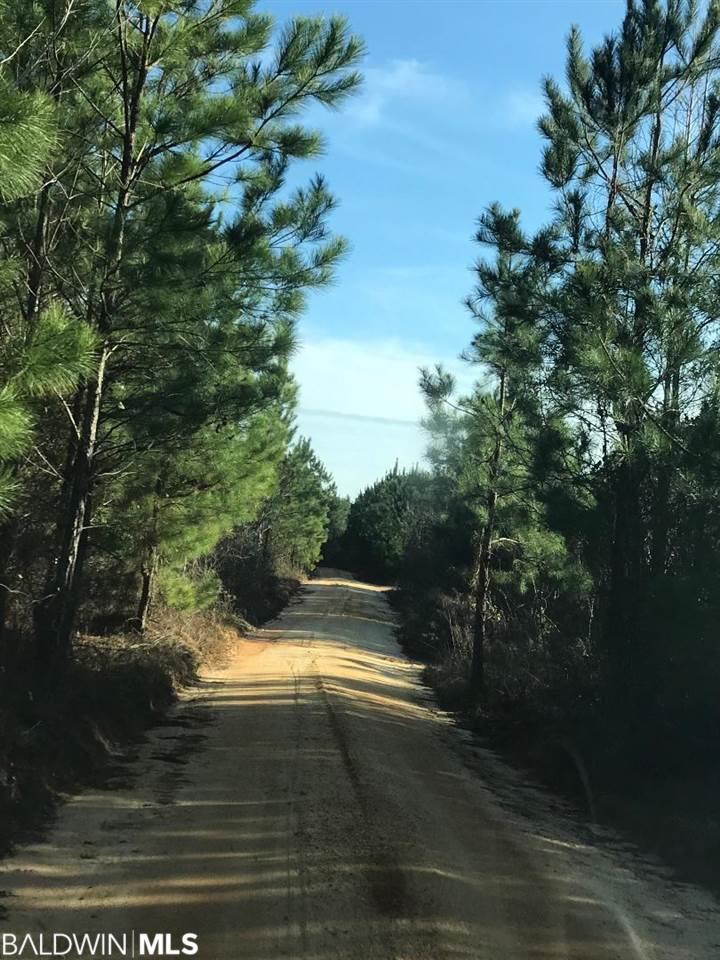 609 County Road 43 - Photo 1