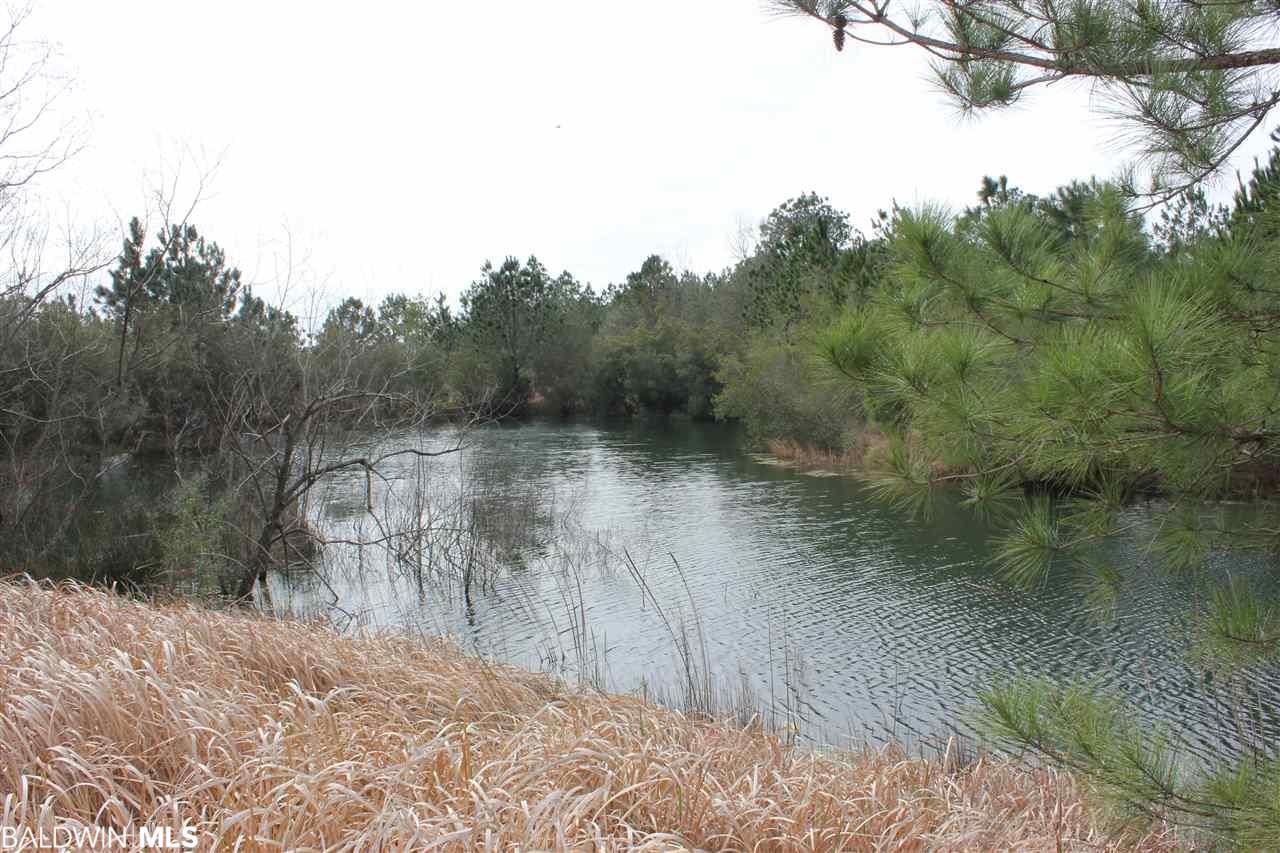10 County Road 32 - Photo 1