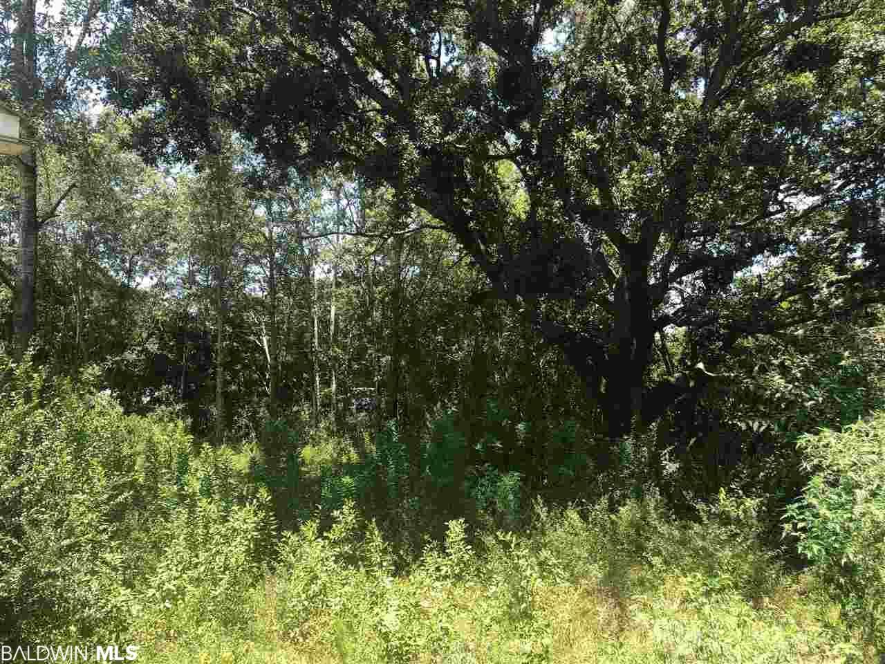 lot 2 Woodland Avenue - Photo 1