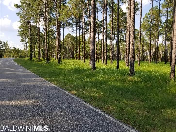 0 County Road 64 - Photo 1