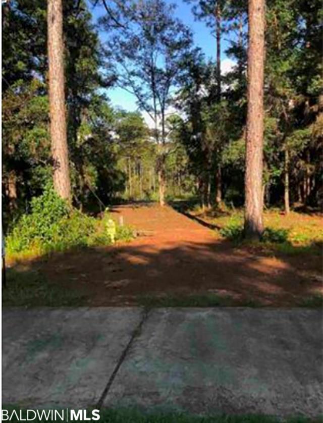 14770 Scenic Highway 98 - Photo 1
