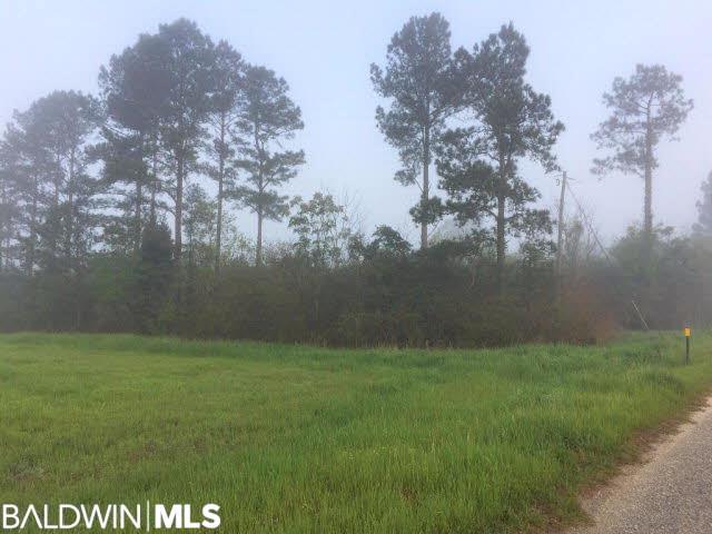 0 Eric Odom Road - Photo 1