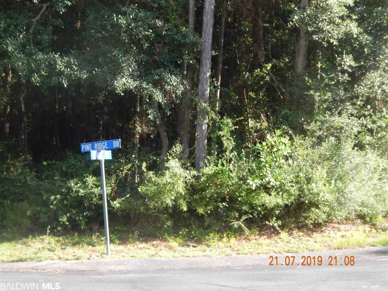 2786 Manuel Dr - Photo 1