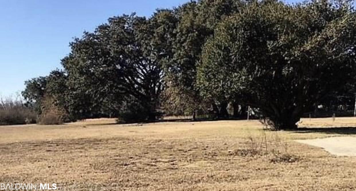 10441 County Road 48 - Photo 1