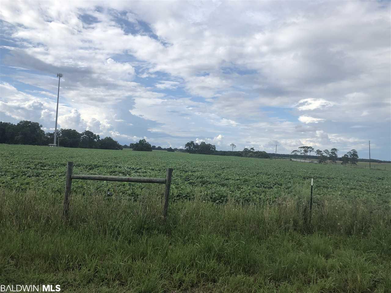 0 Highway 104 - Photo 1