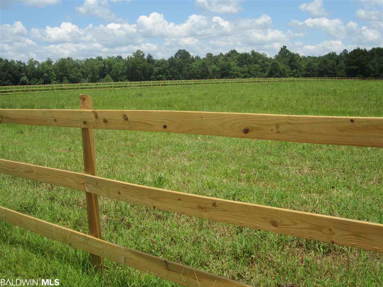 26240 County Road 55 - Photo 1