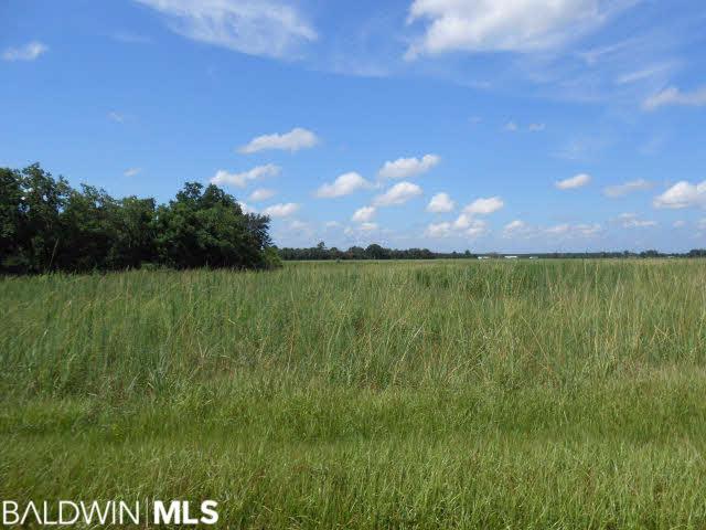 00 Jack Springs Rd - Photo 1