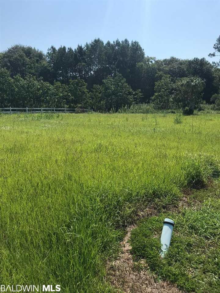 Lot 31 Edgewater Circle - Photo 1