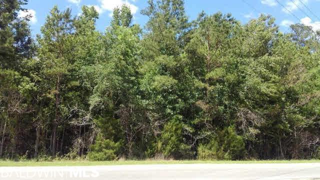 0 Us Highway 29 - Photo 1
