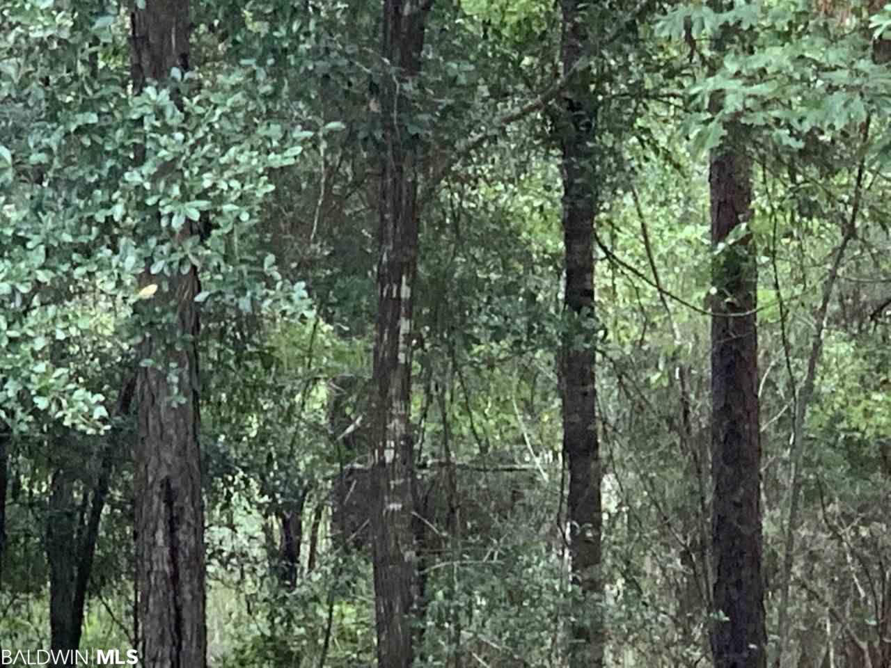 0 County Road 55 - Photo 1