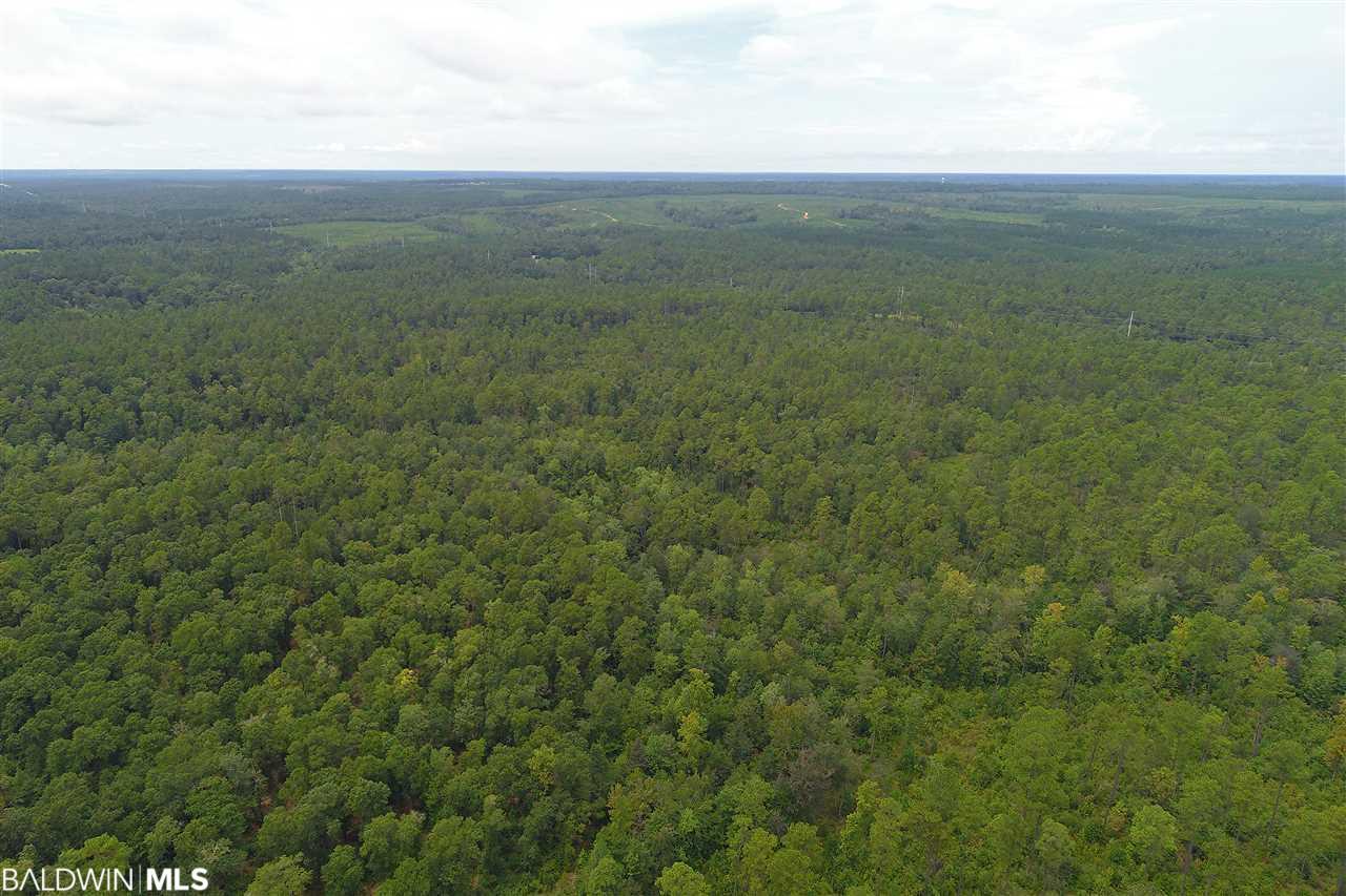 0 Us Highway 29 - Photo 1