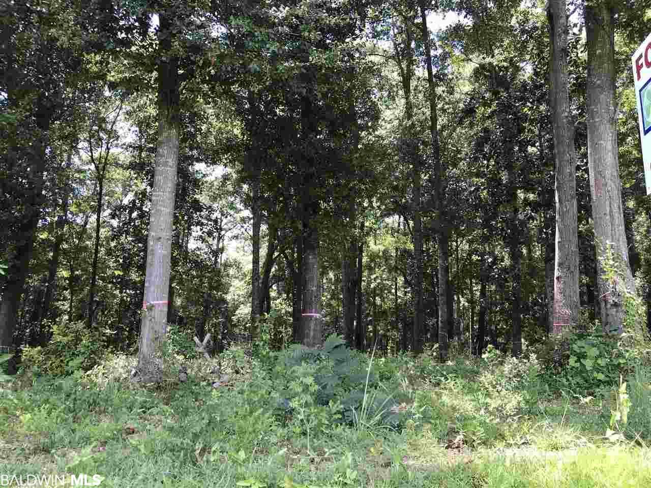 0 Pollard Road - Photo 1