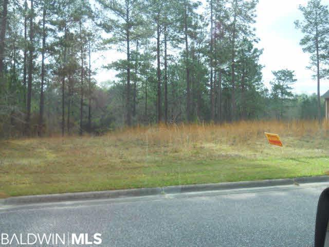 245 Juniper Creek Dr - Photo 1