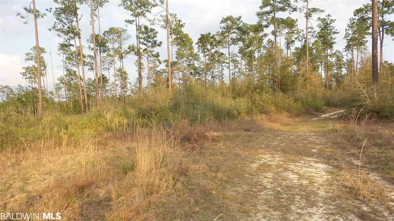 40 Lewis Rd - Photo 1