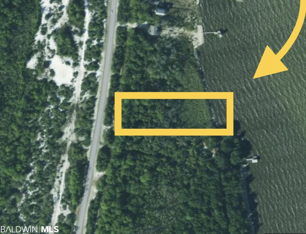 0 Fort Morgan Hwy - Photo 1