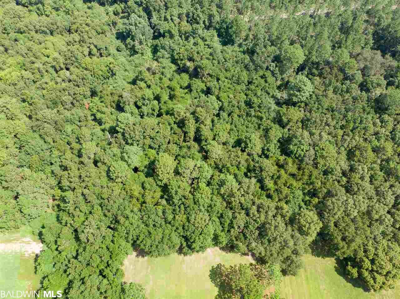 0 River Park Road - Photo 1