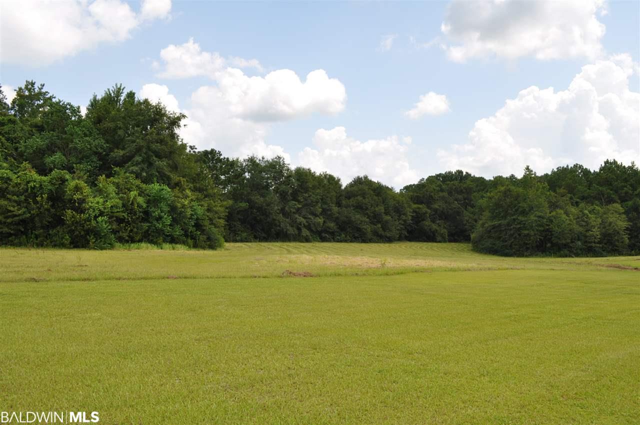 41360 County Road 39 - Photo 1