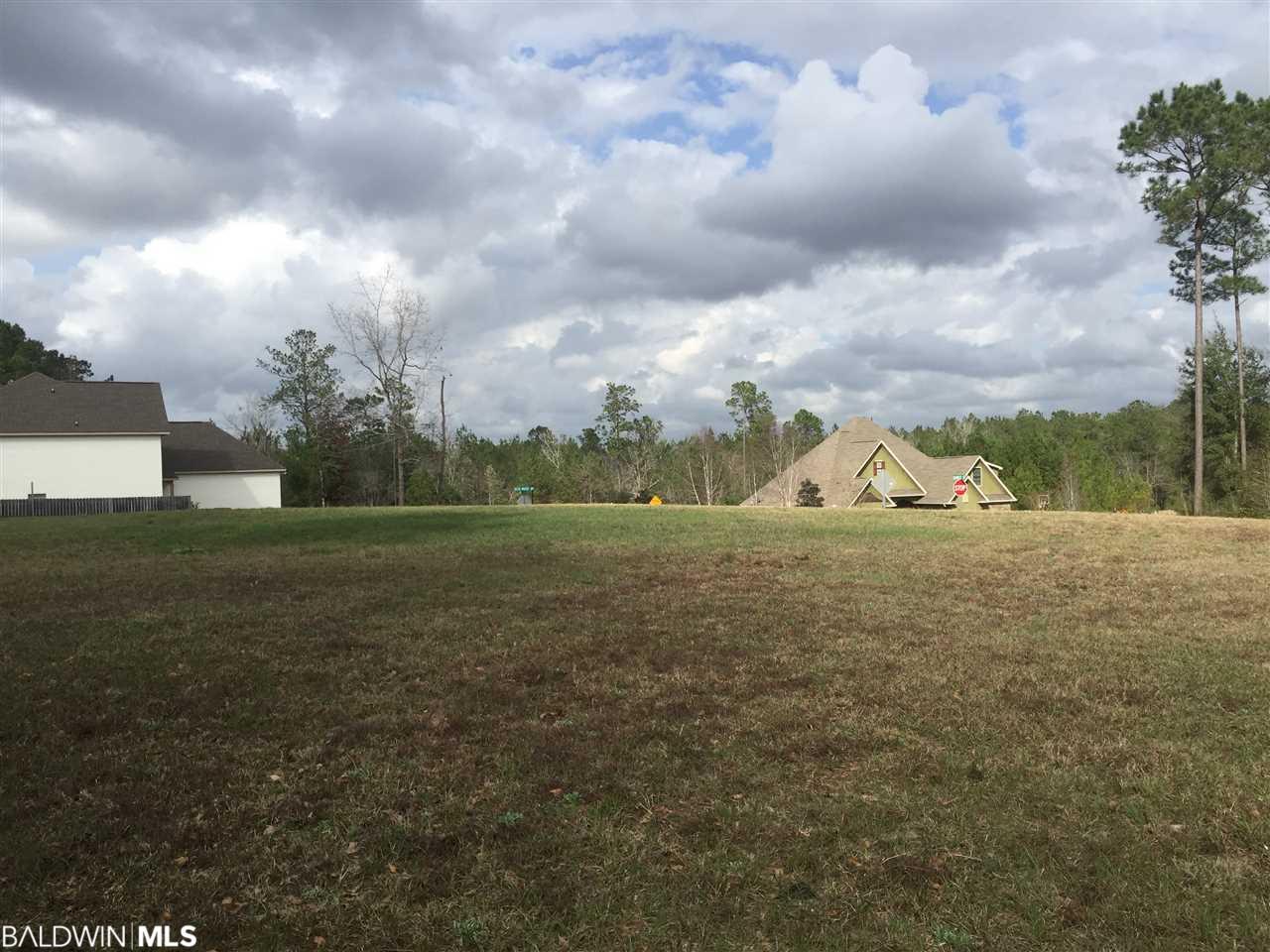 99 Delta Woods Drive - Photo 1