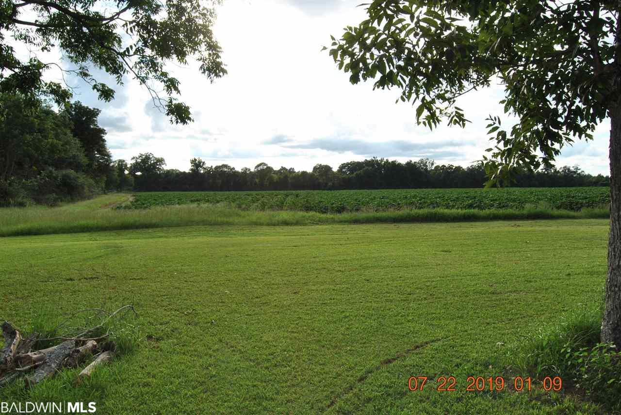 384 Goulsby Farm Road - Photo 1