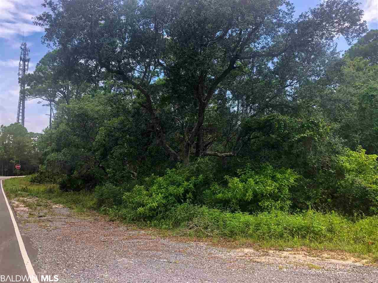 0 Highway 180 - Photo 1