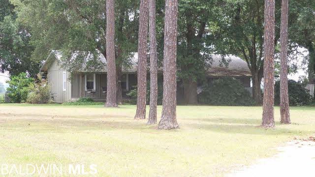 7300 Jack Smith Road - Photo 1